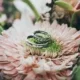Лучший ювелир в Вильнюсе: как выбрать профессионала? 3 Лучший ювелир в Вильнюсе